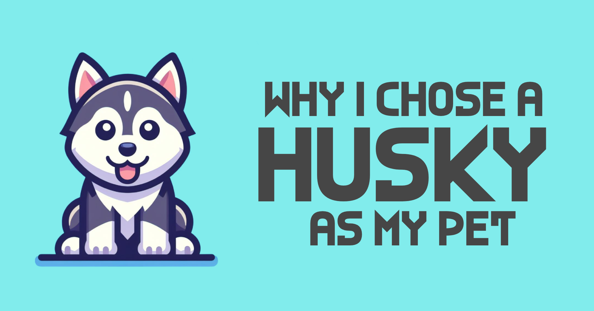 Why I Chose a Husky as My Pet