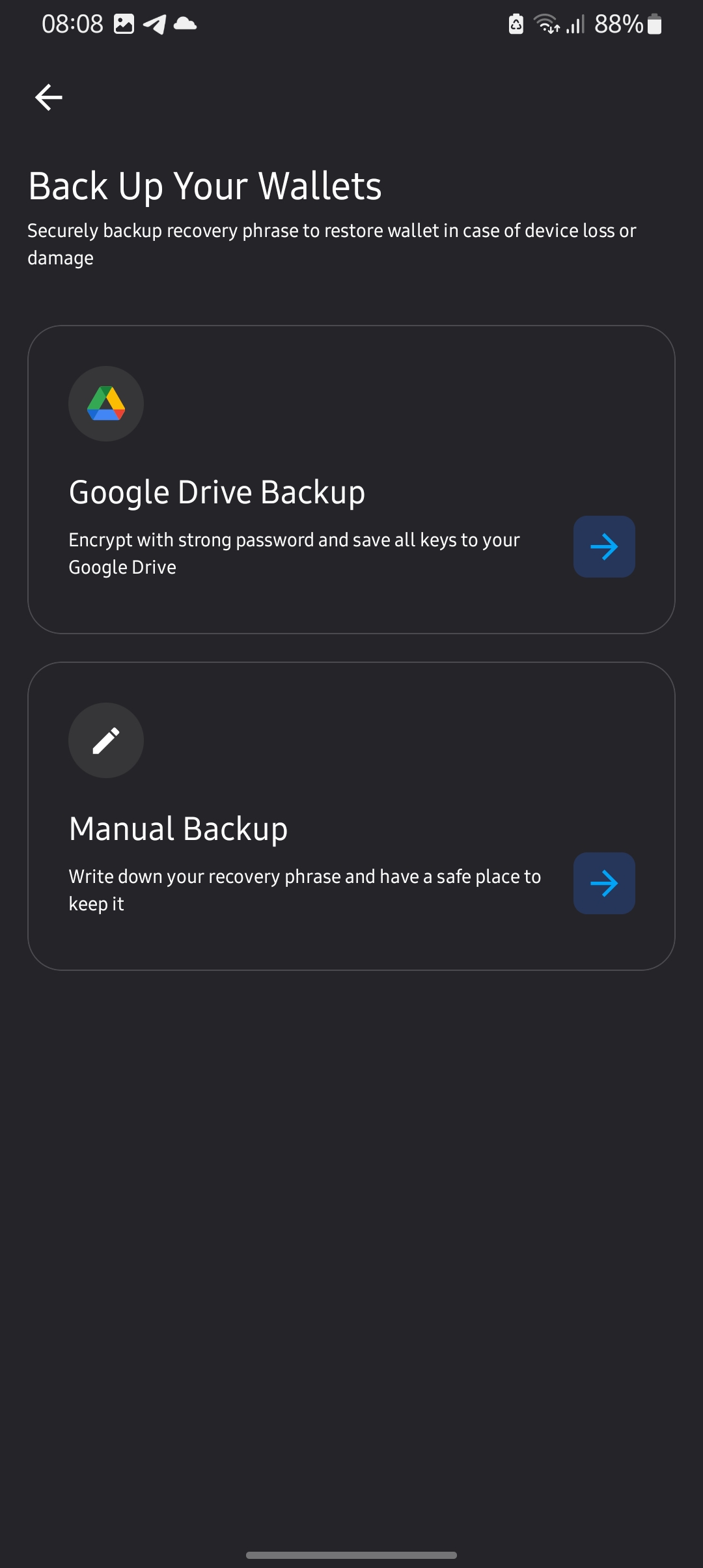 List of options Zerion provides for backing up your wallet