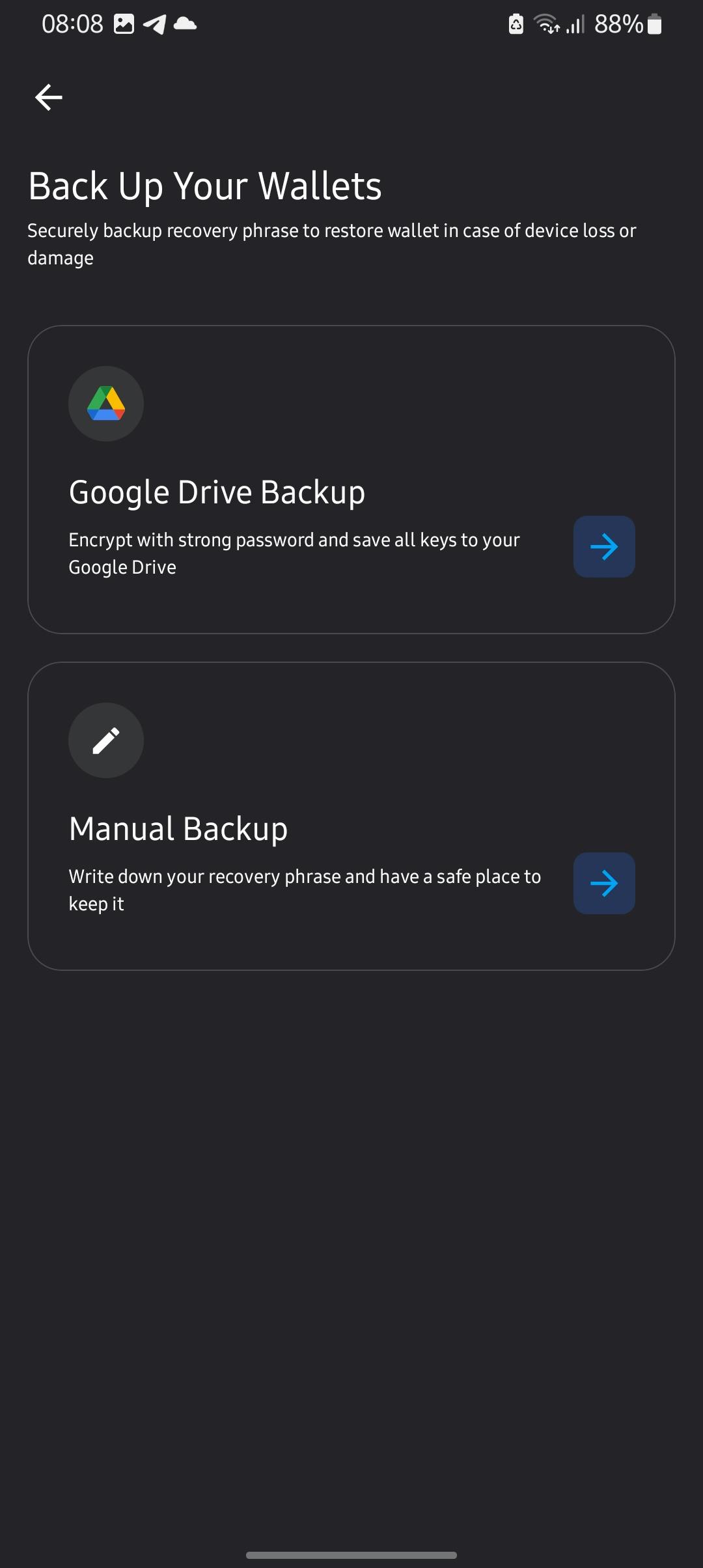 List of options Zerion provides for backing up your wallet