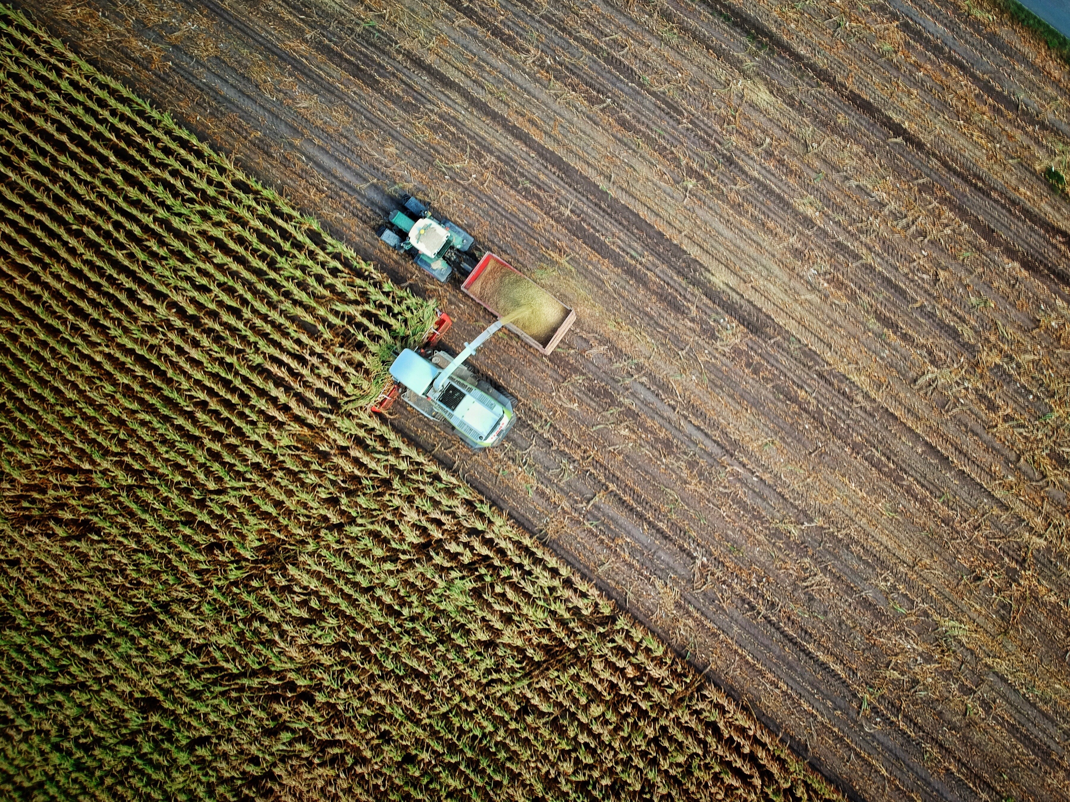 AI in Agriculture