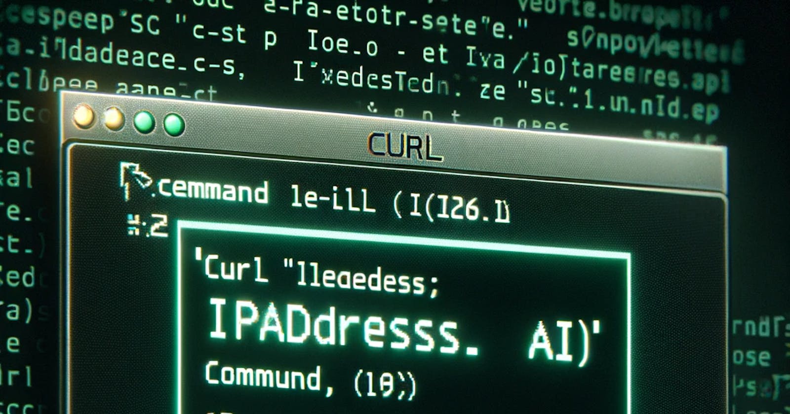 How to use curl to get IP Address information