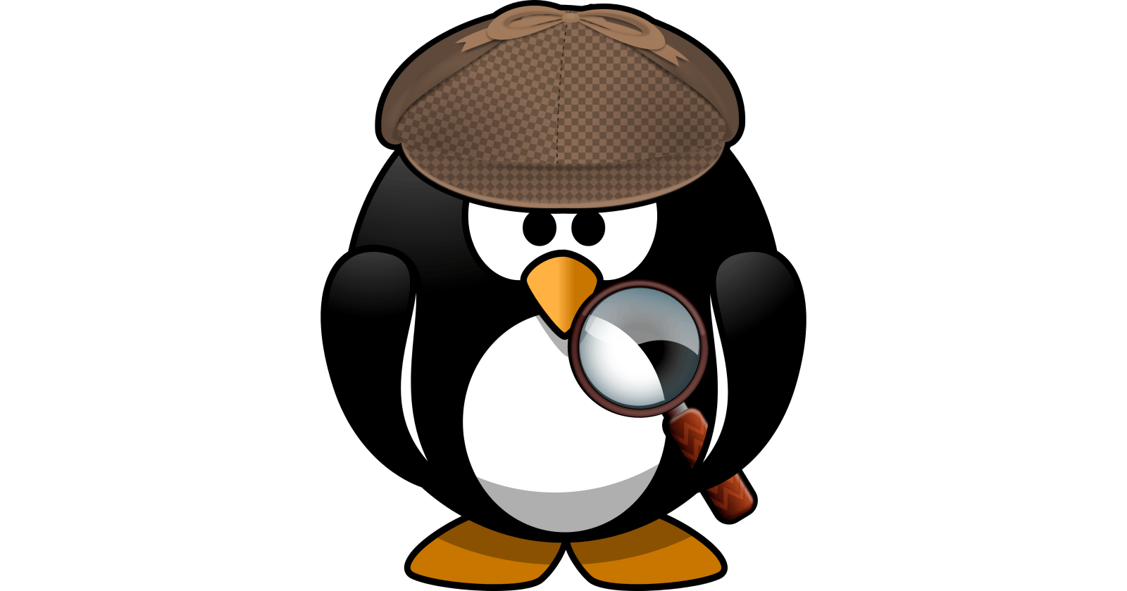 How to use "find" command in Linux