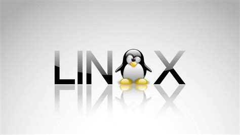 Basic Linux commands