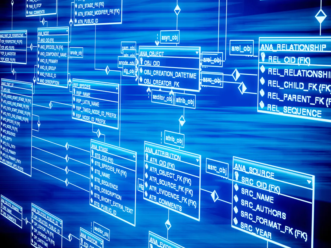 MySQL Database System