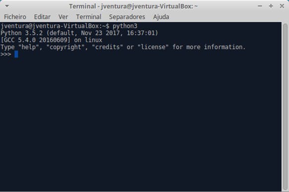 Figure 2.6: Python REPL