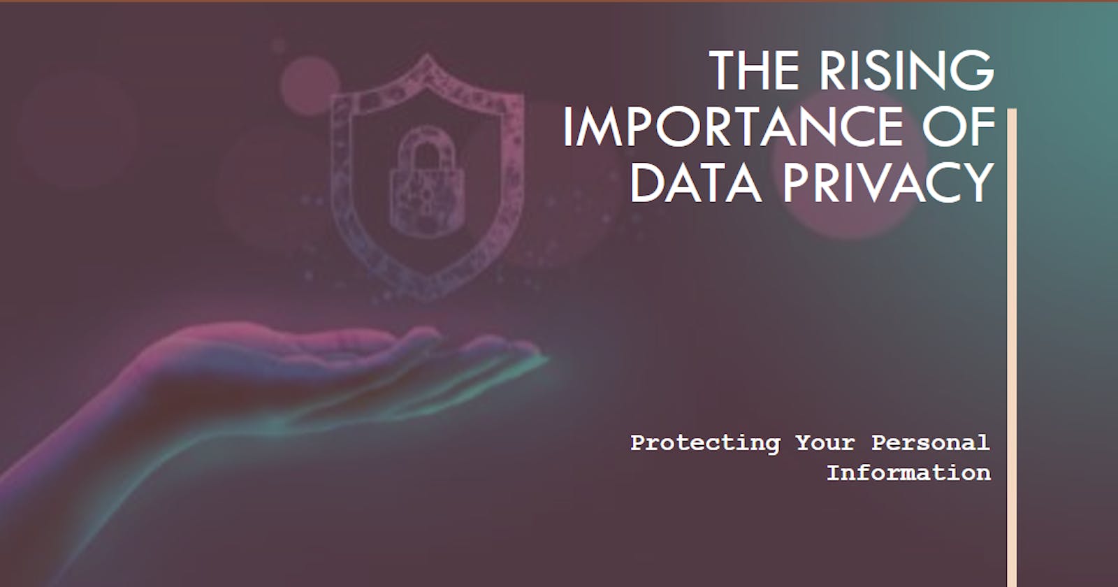 The Rising Importance of Data Privacy