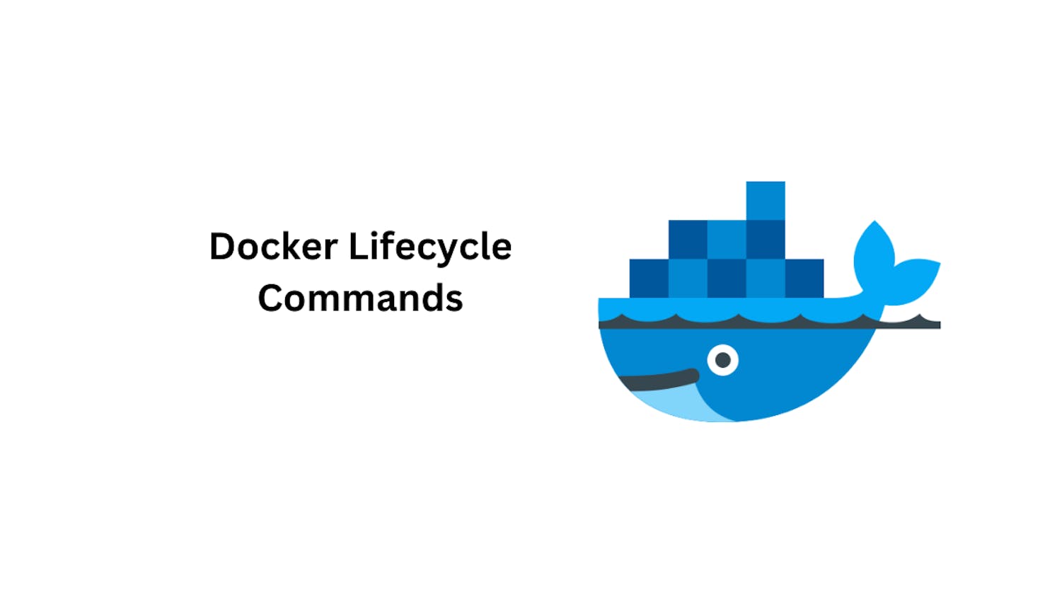 Mastering Docker Lifecycle Commands: A Practical Guide with Examples