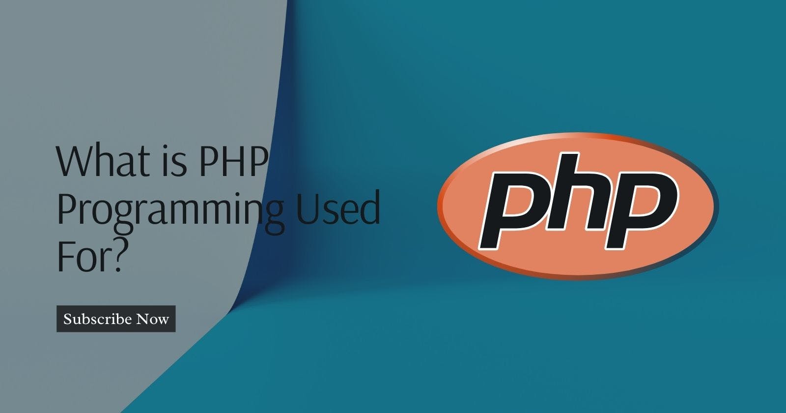 What is PHP Programming Used For?