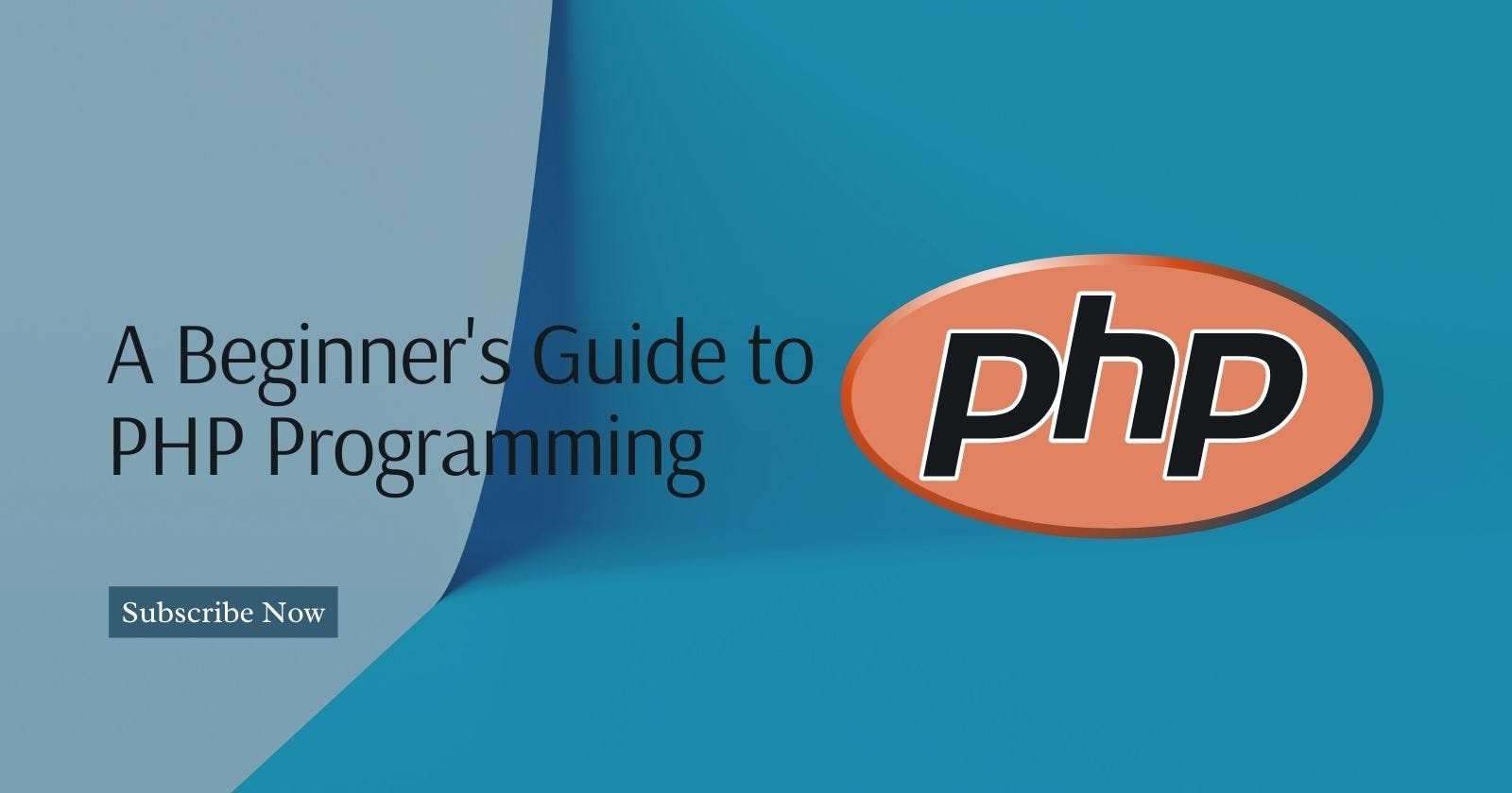 A Beginner's Guide to PHP Programming