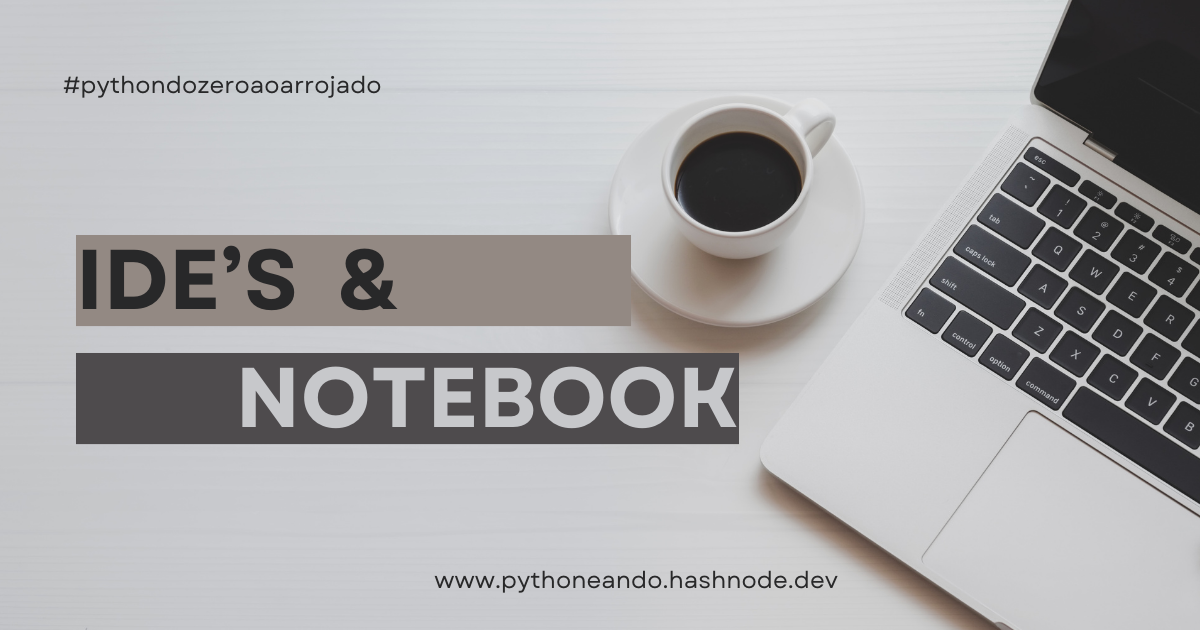 IDE's e Notebooks