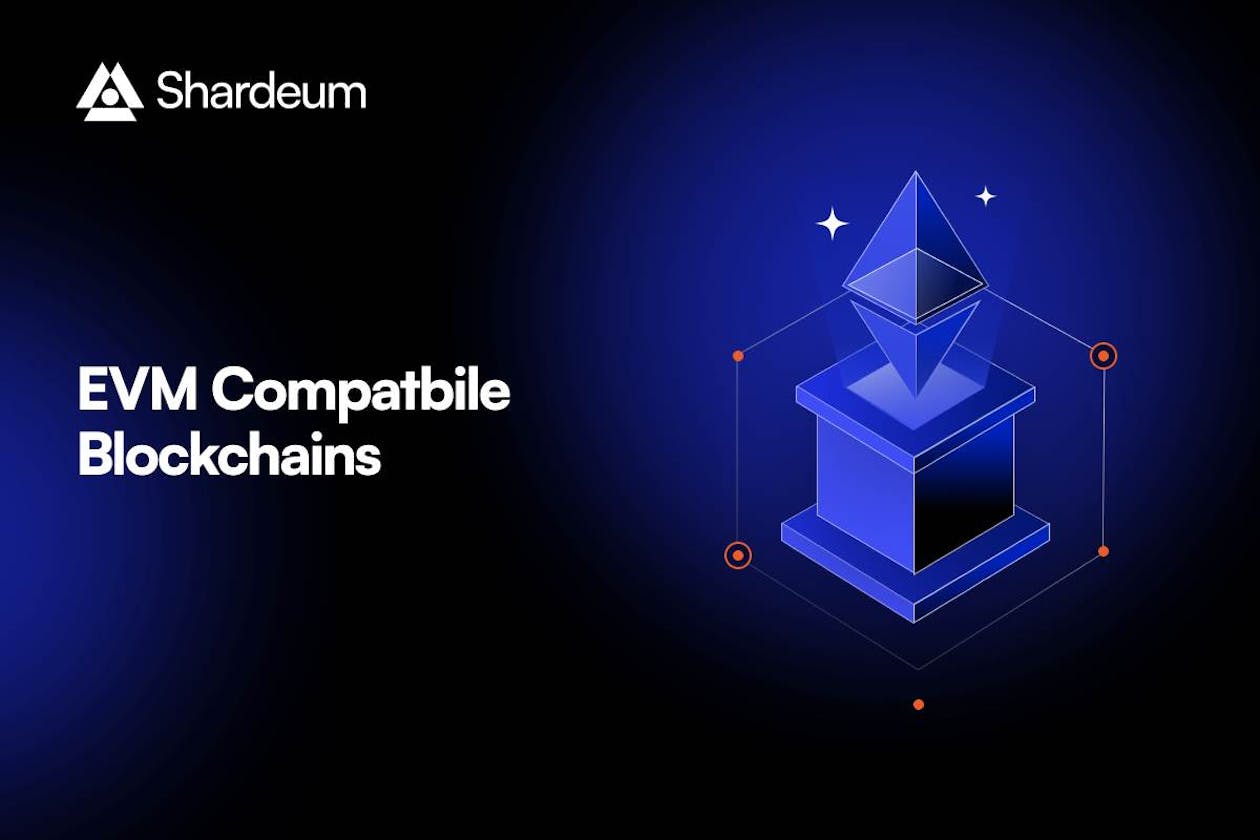 What are EVM Compatible Blockchains? A Complete Overview