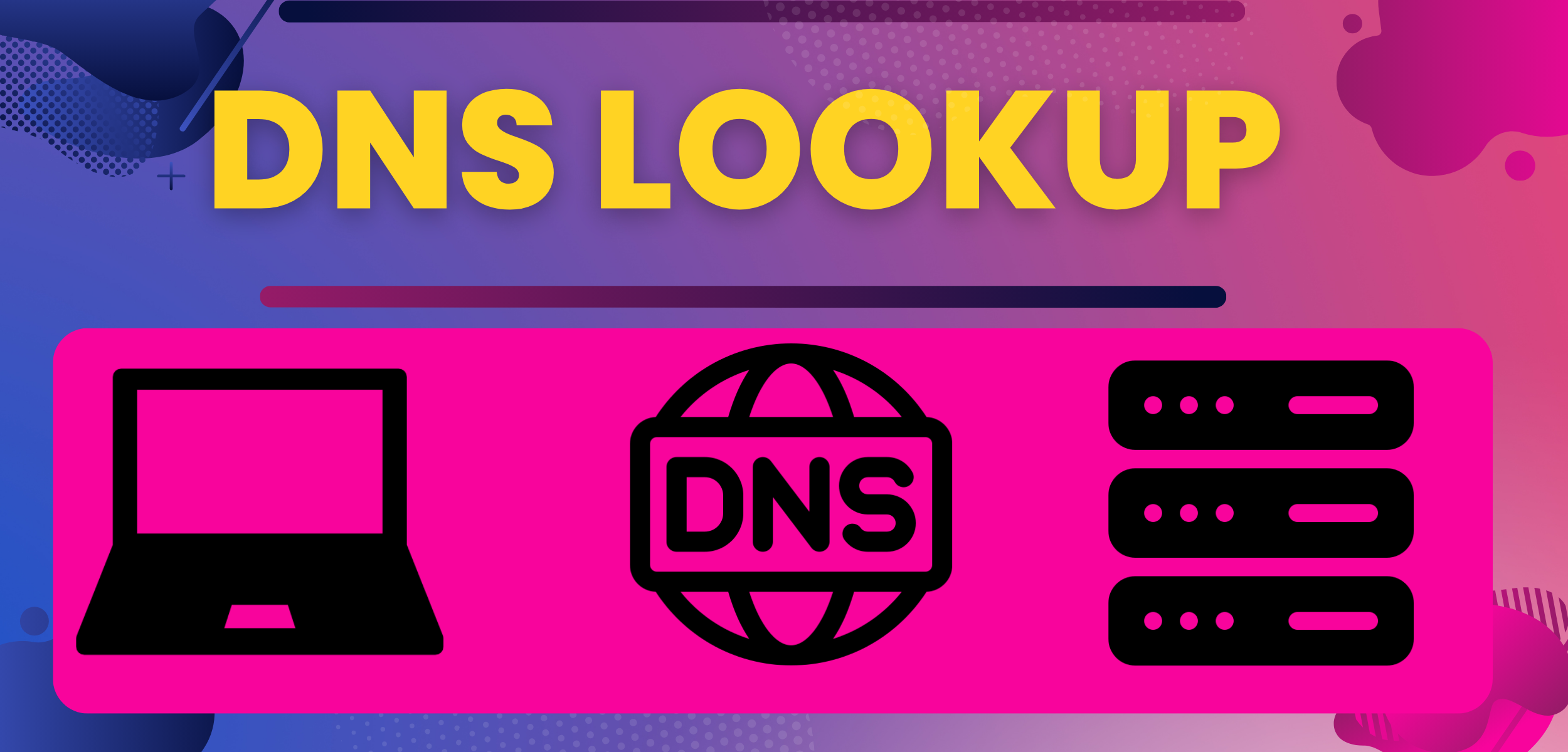 DNS Lookup