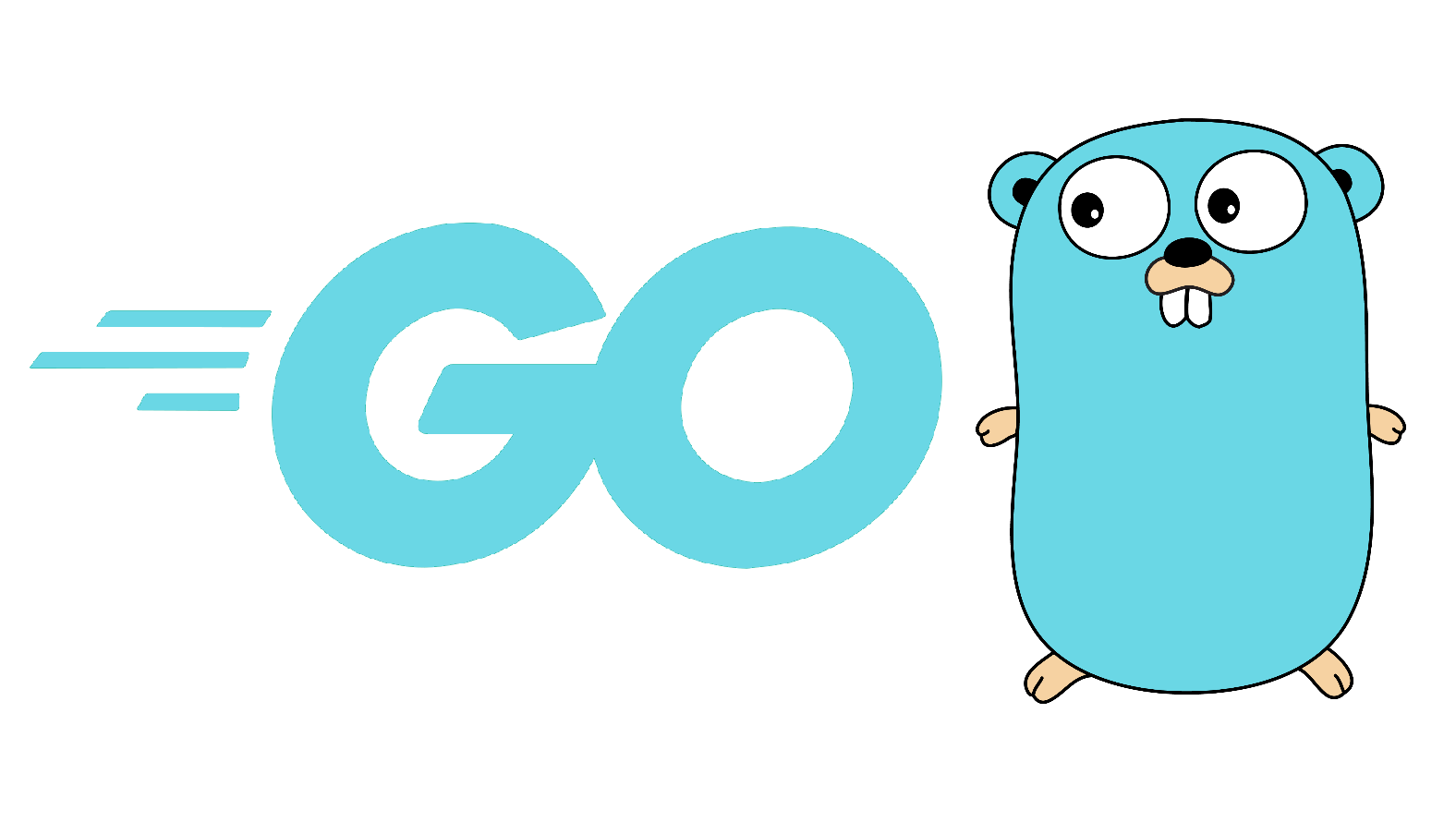 learning-go