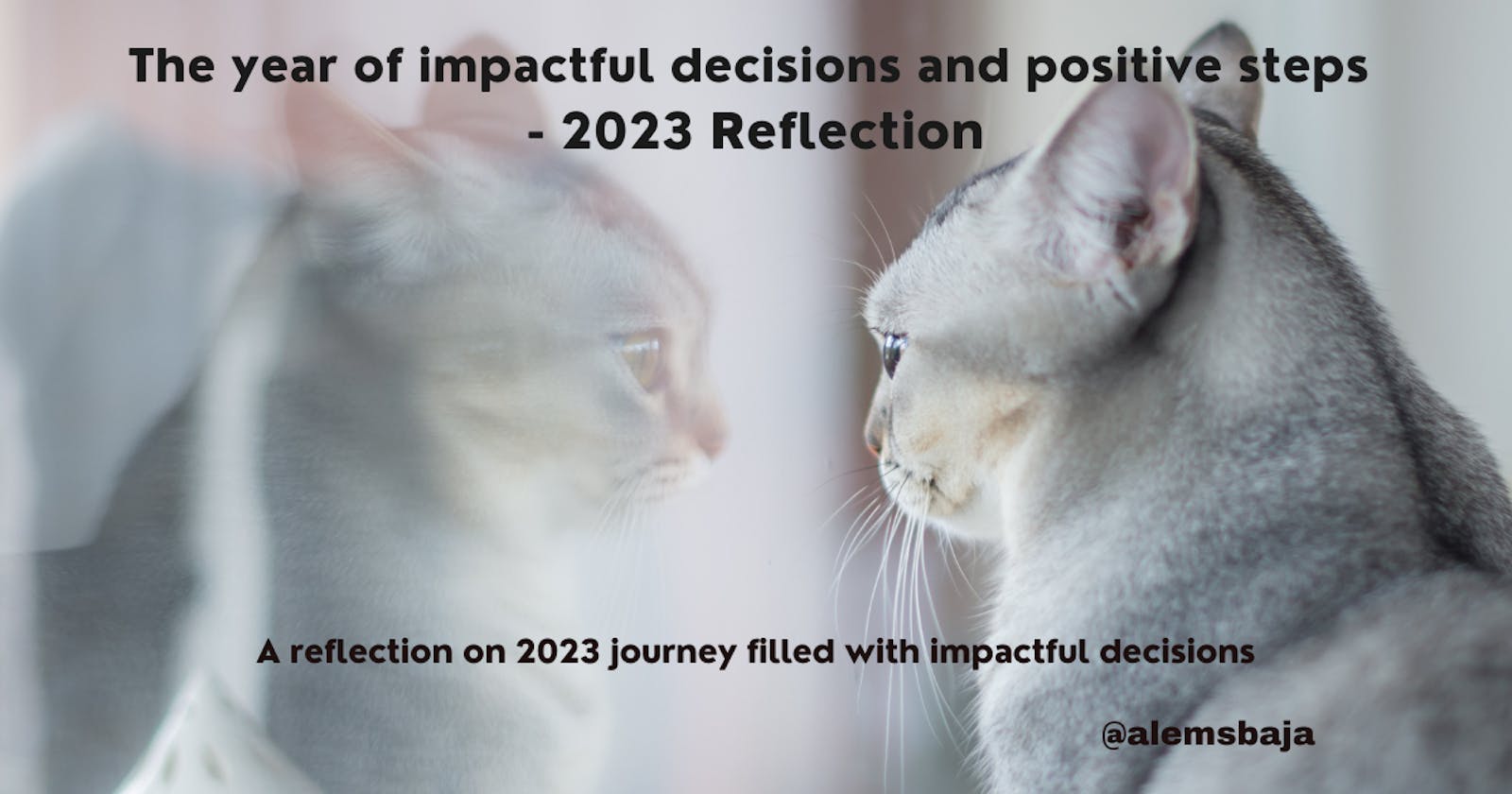 The year of impactful decisions and positive steps - 2023 Reflection