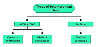 Cover Image for Polymorphism in Java Explained!