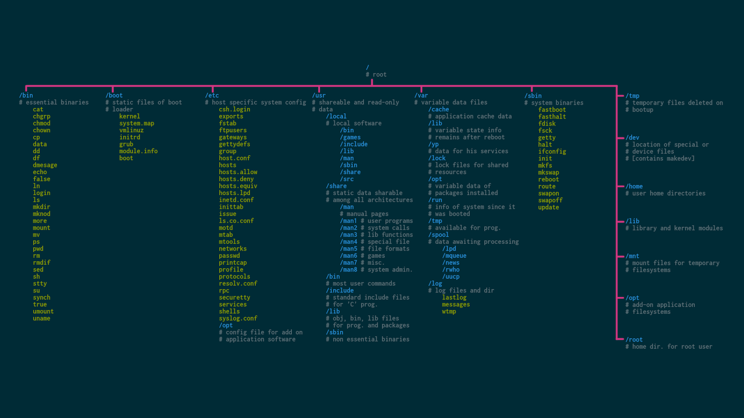 File System Hierarchy of Linux