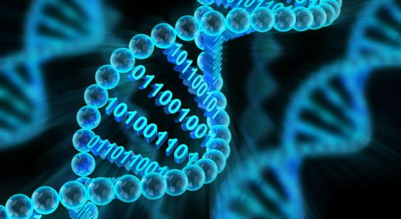 BioBytes PairSync: A Bioinformatics Tool for Basic Information Retrieval and Pairwise Sequence Alignment