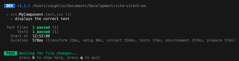 Vitest console output