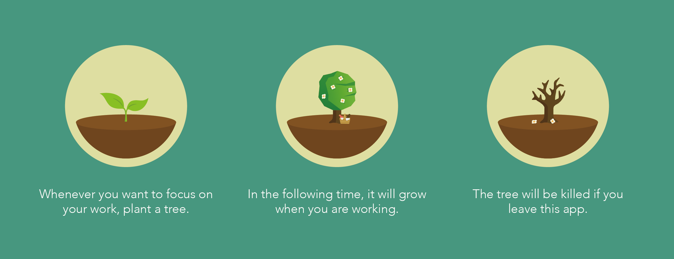 An image explaining how forest works. It says "Whenever you want to focus on your work, plant a tree" and it shows a small sapling. Then it says, "In the following time, it will grow when you are working" next to an image of a tree. And finally, it says "The tree will be killed if you leave this app" below an image of a withered tree.
