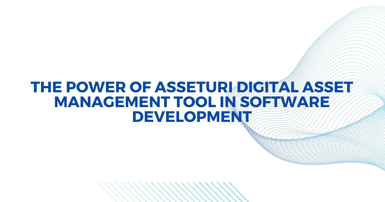 The Power of software like Asseturi Digital Asset Management Tool  Software Development