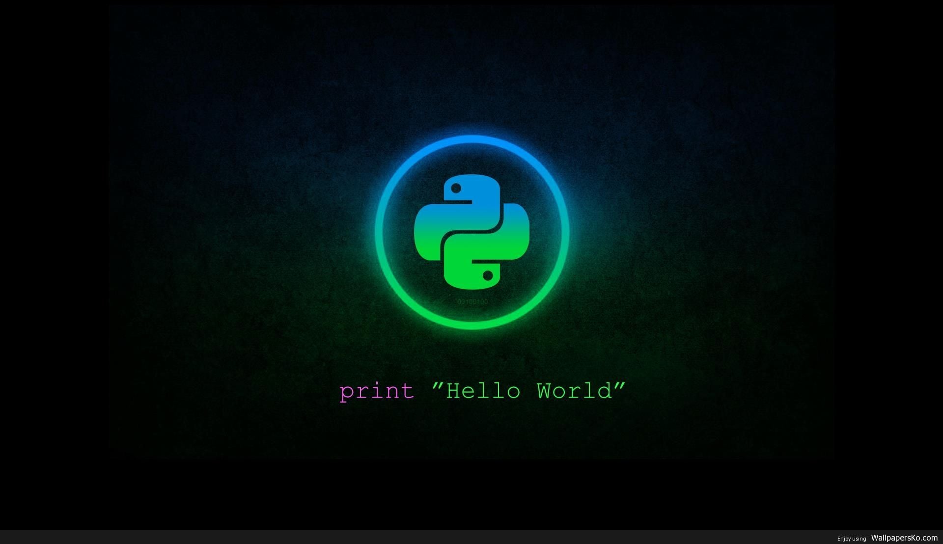 Python 