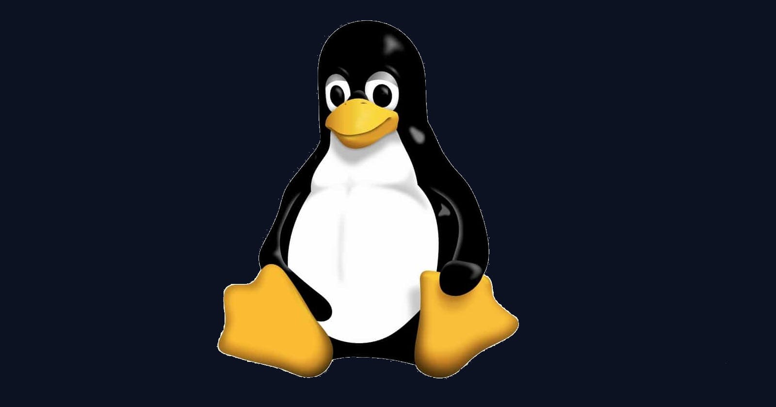 My Linux Experience