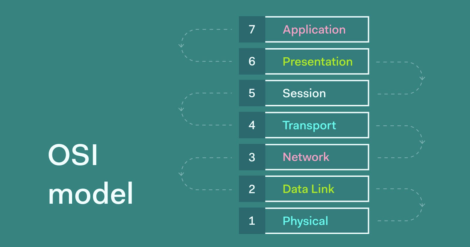 Introductory Networking: The OSI Model