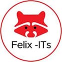 Felix IT System