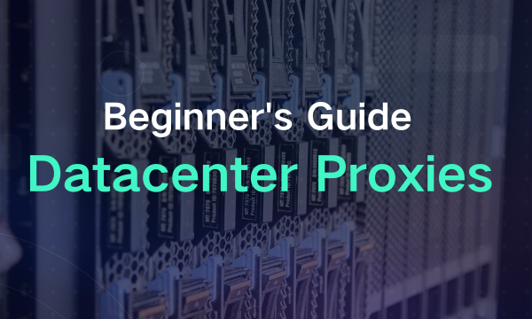 The Beginner's Guide to Proxies: Datacenter Proxies