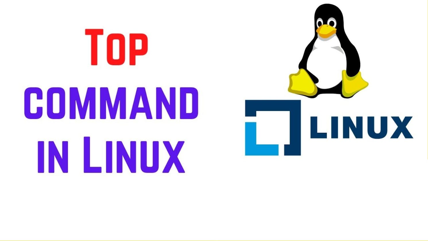 How to Monitor System Activity in Linux | top Command