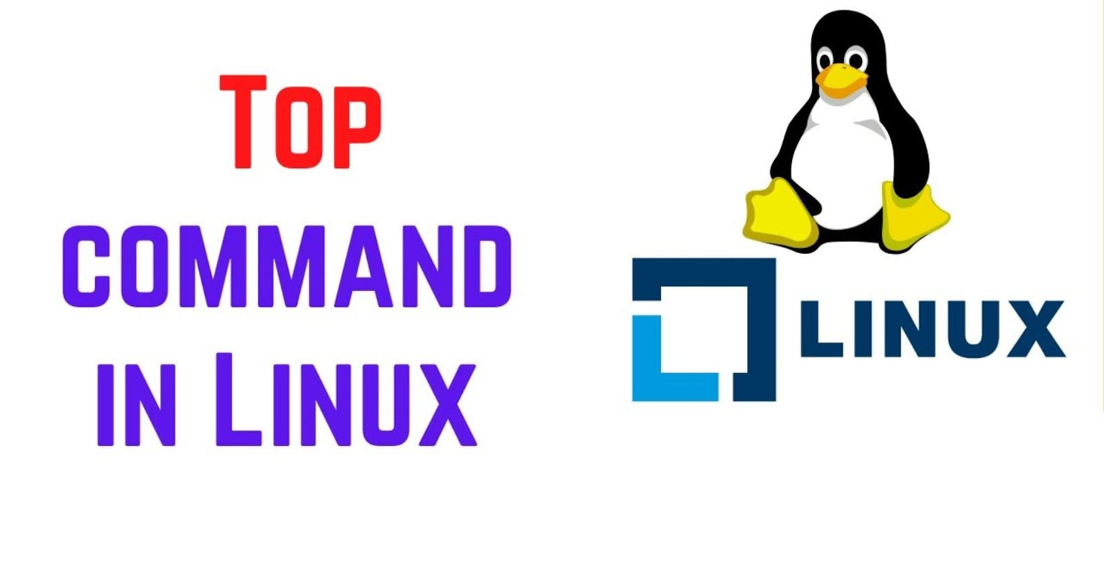 How to Monitor System Activity in Linux | top Command