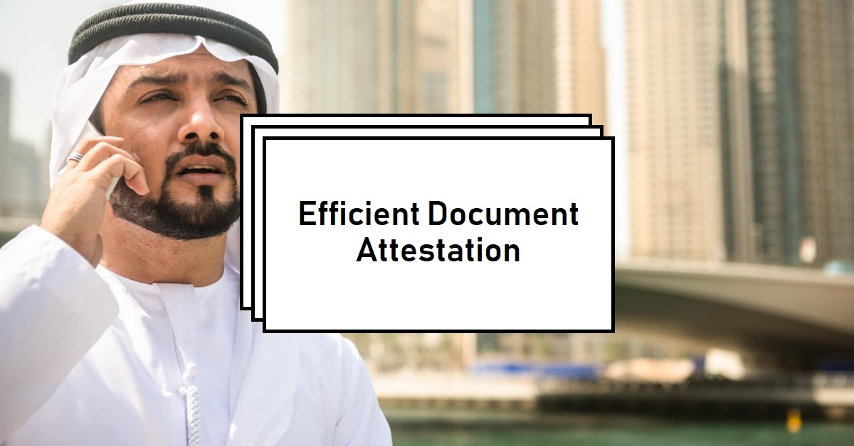 Navigate UAE Business with Ease: TicketPlanet.Live PRO Services! โจ๐