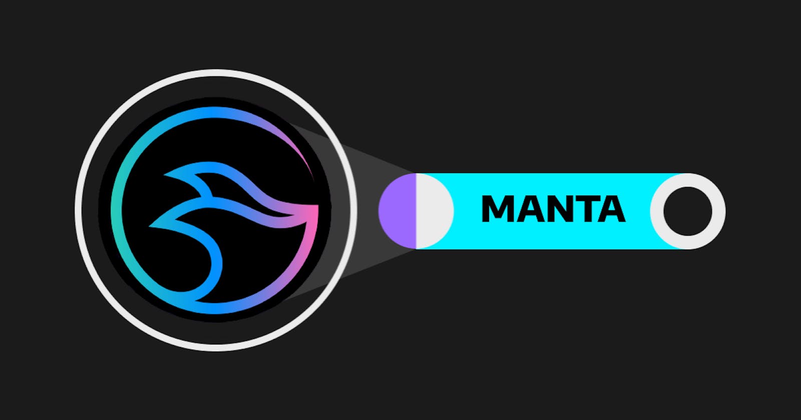Deep Diving Into Manta Network!