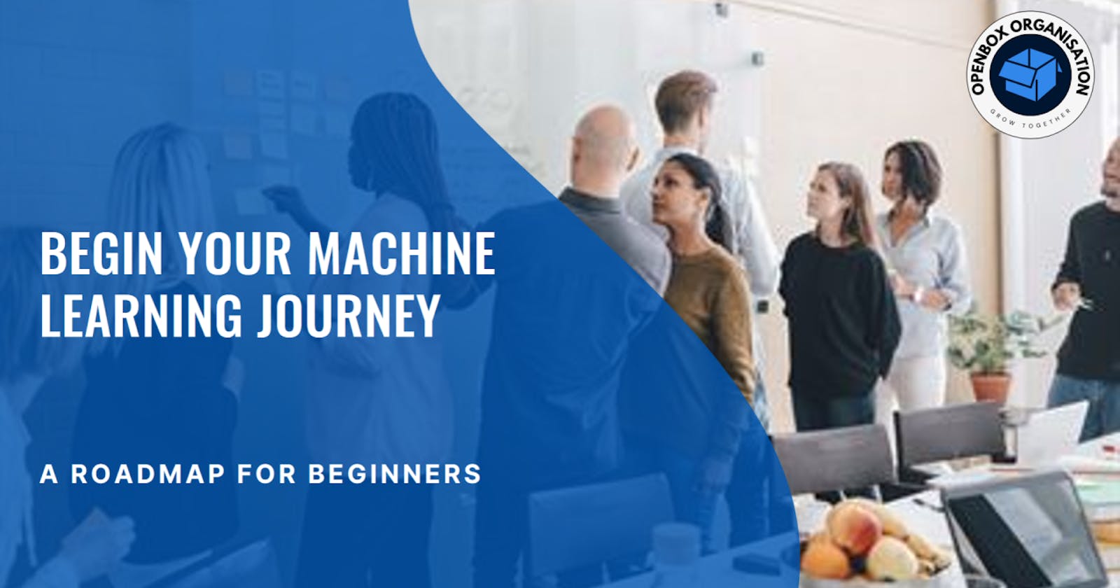 Your Machine Learning Journey Starts Here: A Roadmap for Beginners