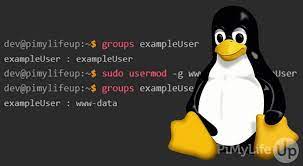 Usermod Command in Unix-like Systems