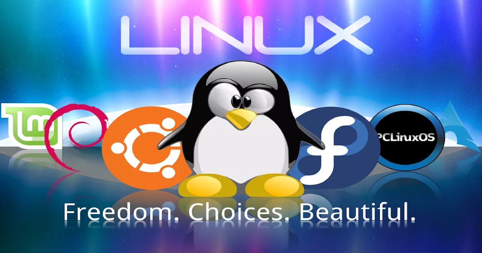 Linux: A Journey into Open Source