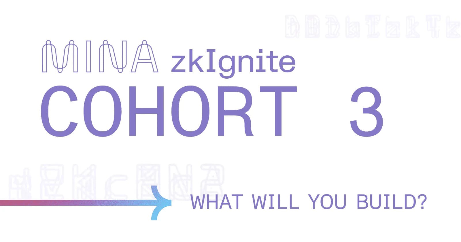 What is zkIgnite? | A Closer Look at Mina Foundation's Builders Program