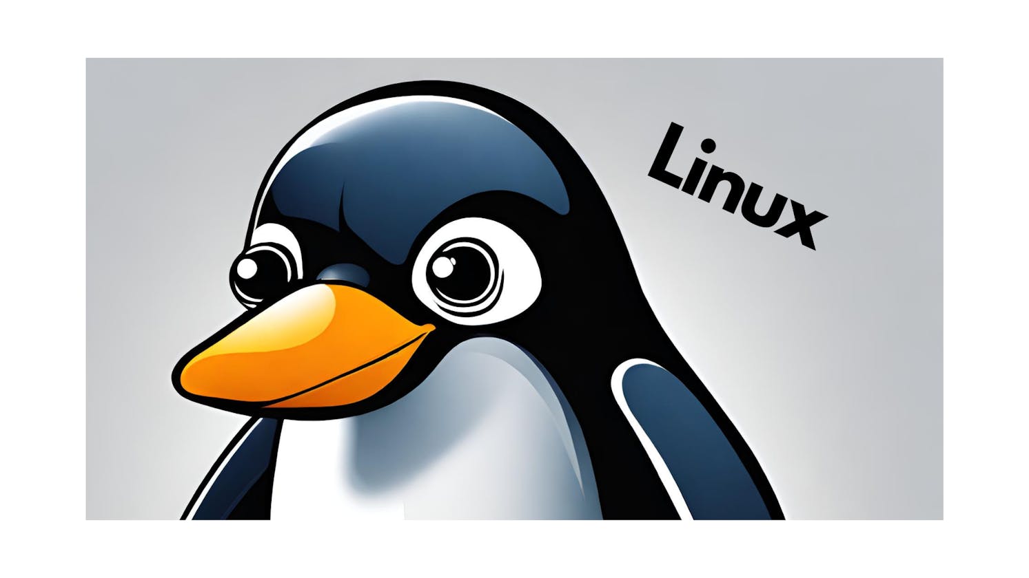 Linux: Basics Commands