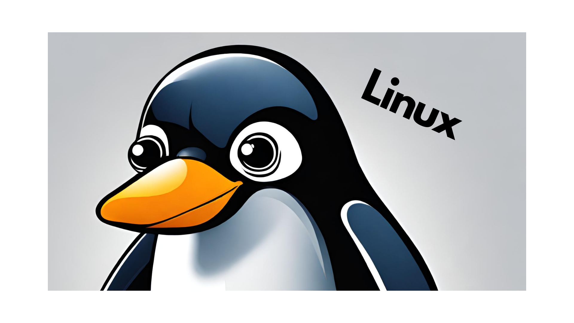 Exploring Linux