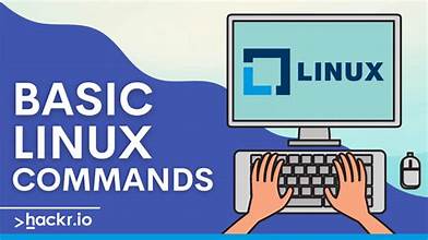 Day 3 Task: Basic Linux Commands