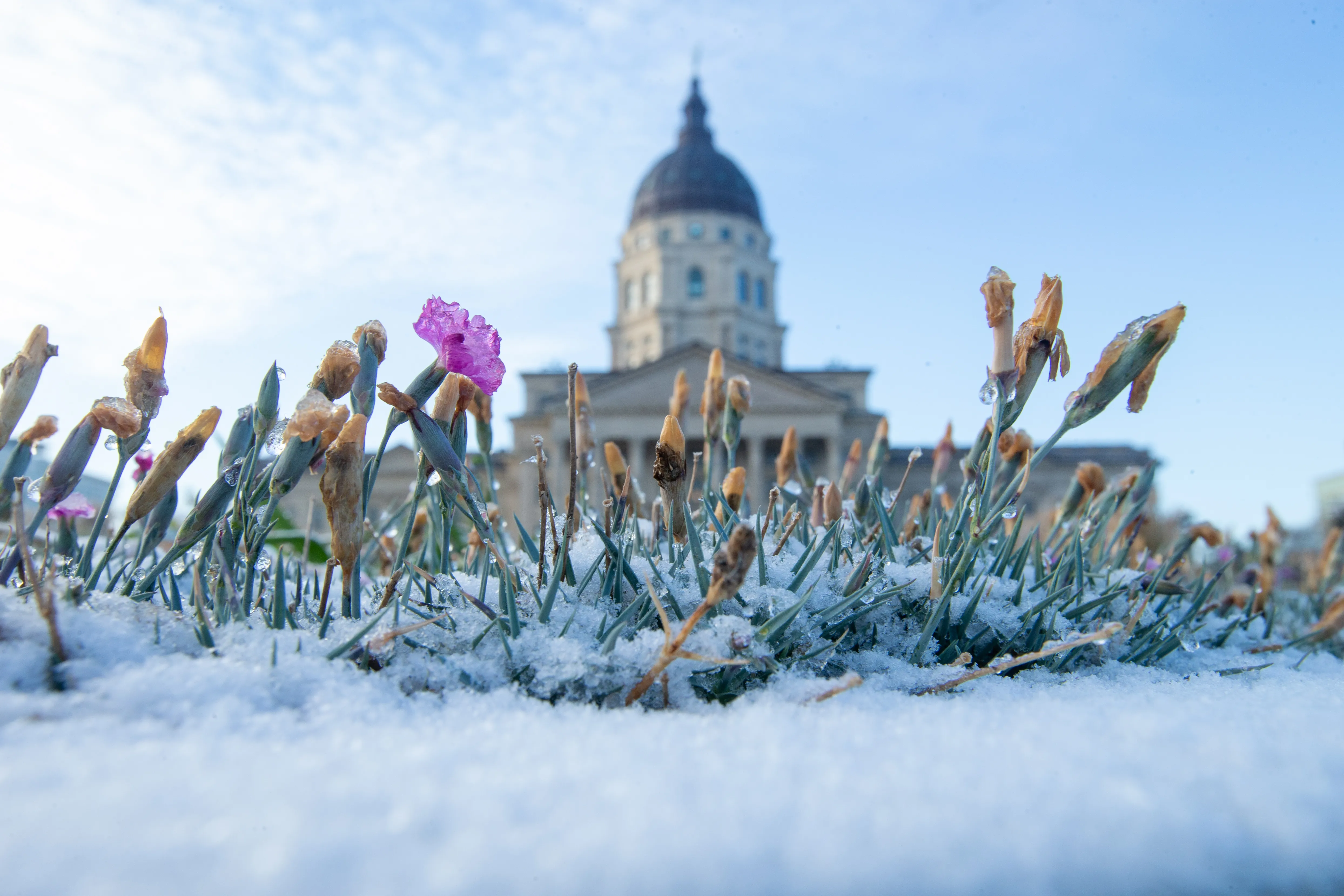 Why Kansas Is a Fantastic  Travel Destination for Kids