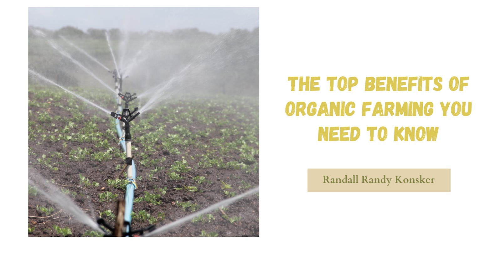 Randall Randy Konsker Guide The Top Benefits of Organic Farming You Need to Know