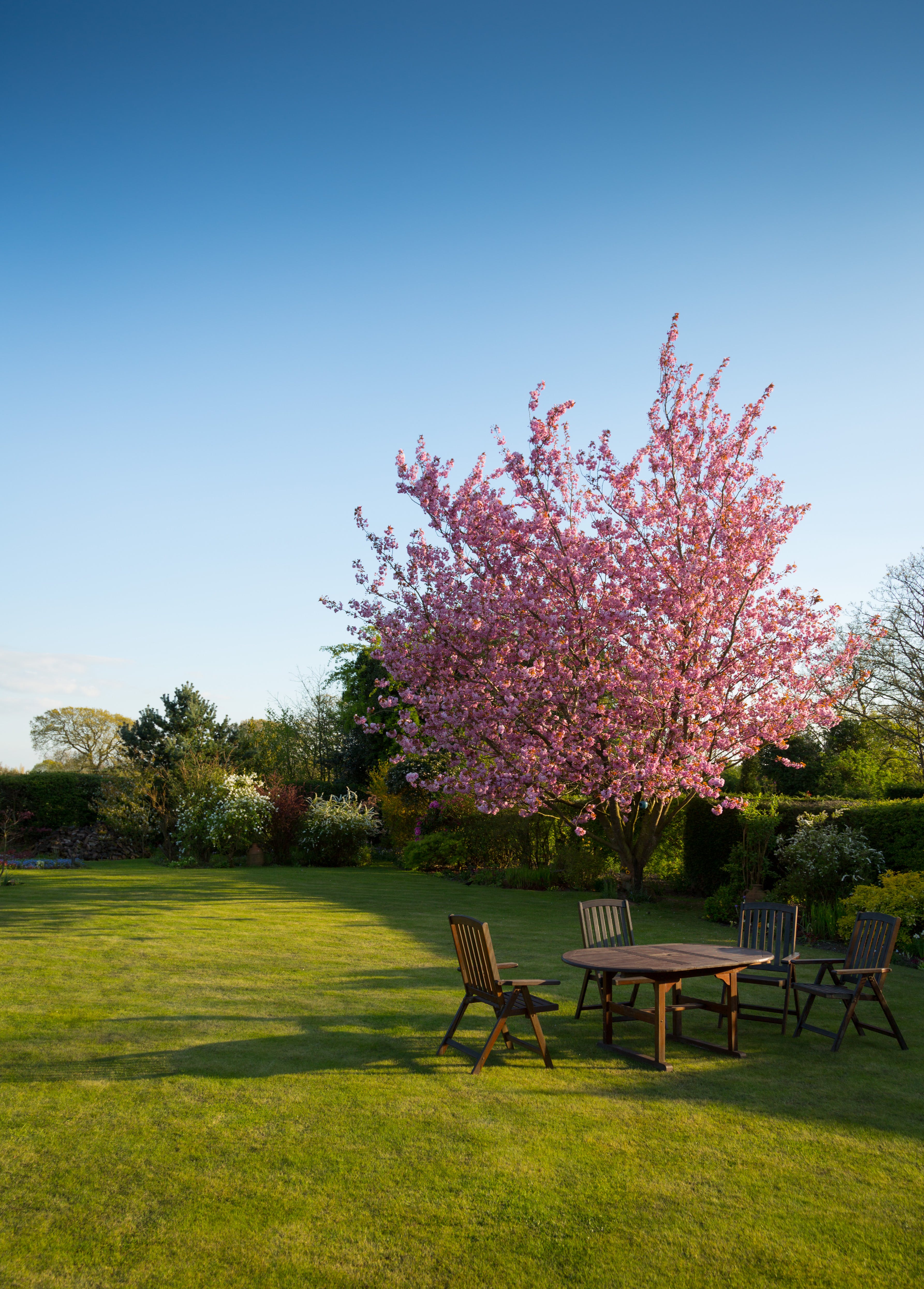 The Environmental Benefits of Lawns and Green Spaces