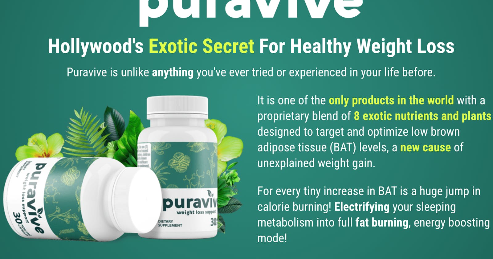 Puravive Reviews: Safe Ingredients or Side Effects