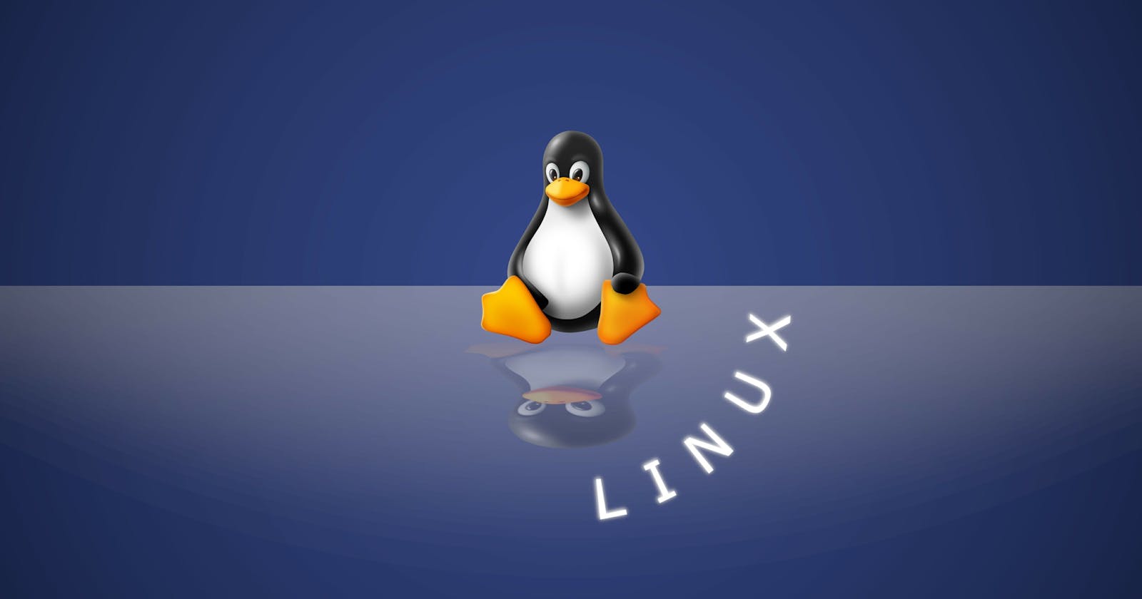 Day2-Basics Linux command