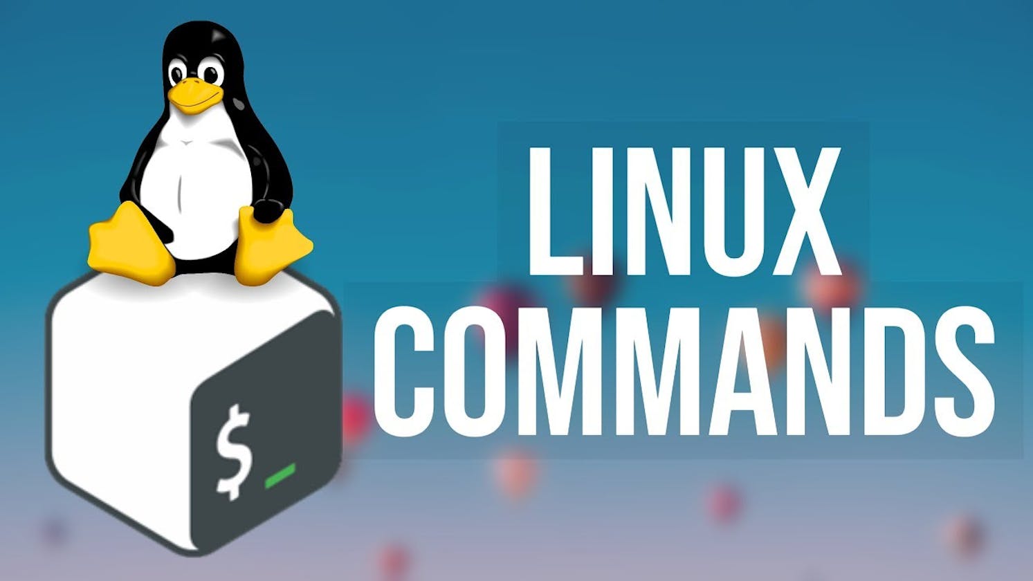 Day3-The Linux Command Center