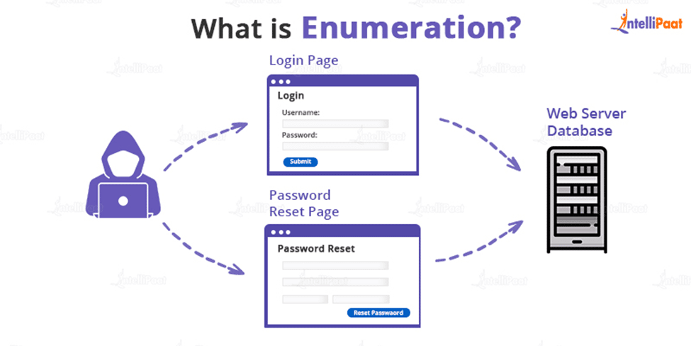 Web App Enumeration & Information Gathering