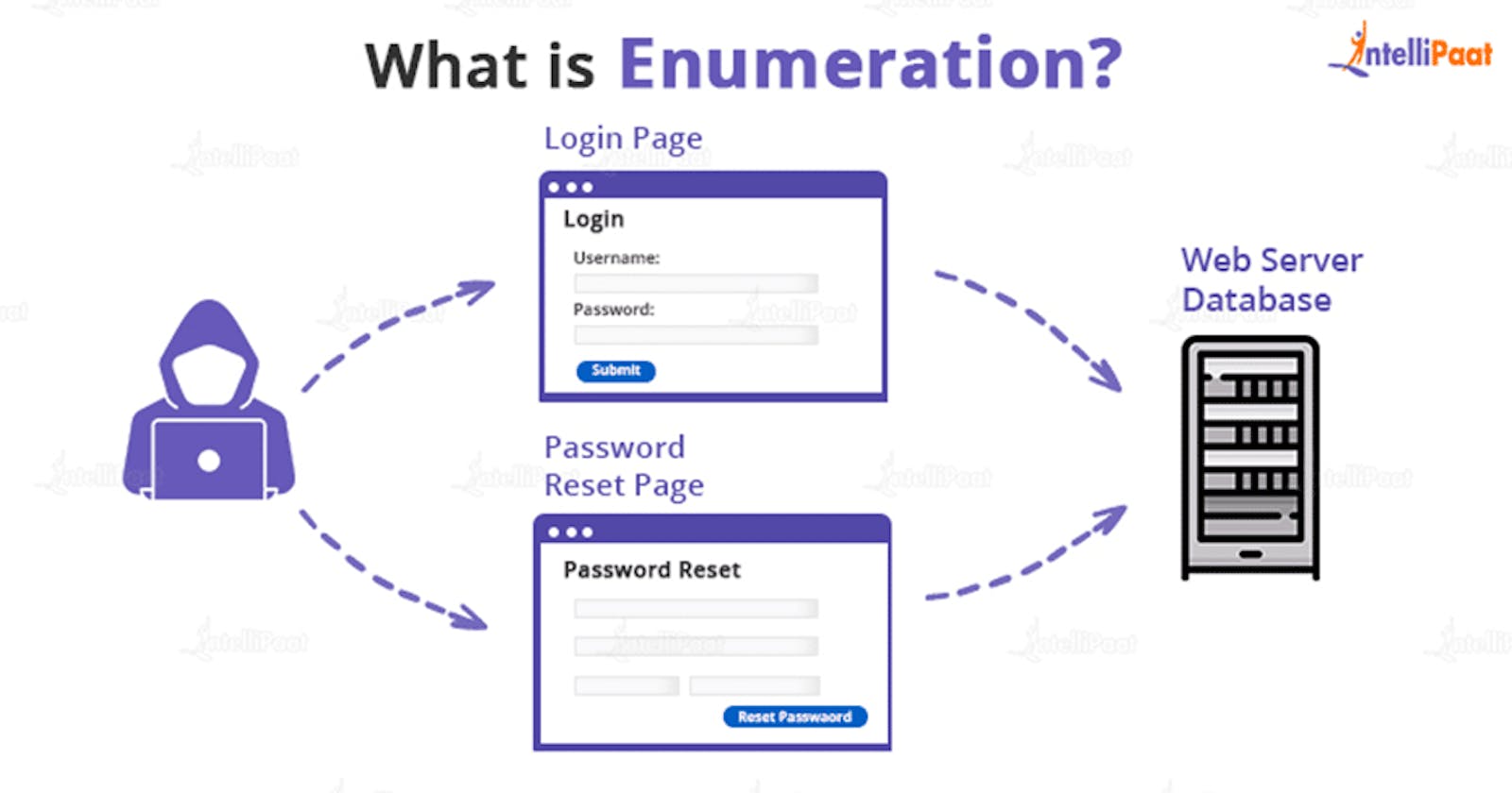 Web App Enumeration & Information Gathering