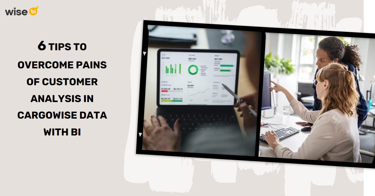 6 Tips To Overcome Pains of Customer Analysis in CargoWise Data With BI