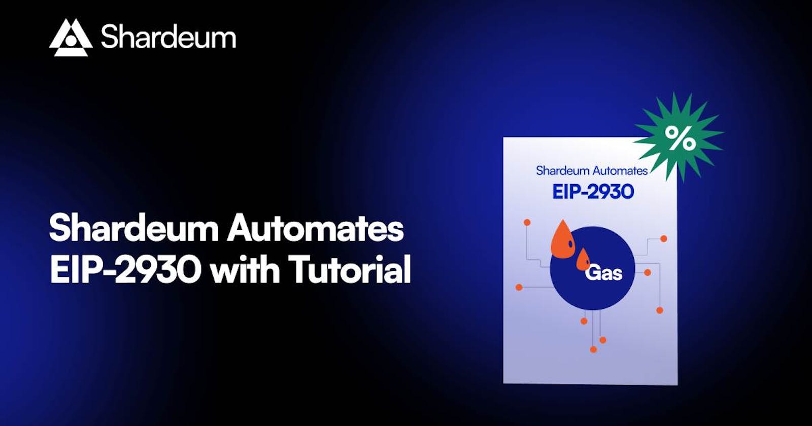 Shardeum Automates EIP-2930 – A Comprehensive Educational Guide